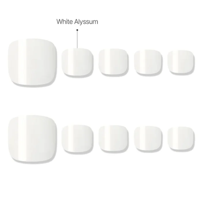 Summit White (Pedi) - Image 5