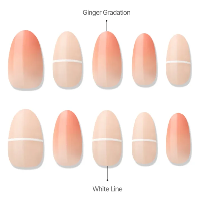 Ginger Mellow (Almond) - Image 5
